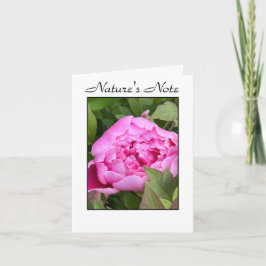 GARDEN PEONY PHOTO FLORAL NOTE CARD ノートカード
