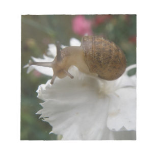 Garden Snail and White Carnationメモ帳 ノートパッド