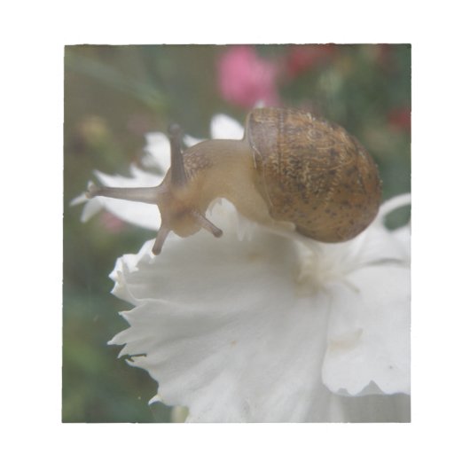 Garden Snail and White Carnationメモ帳 ノートパッド (正面)