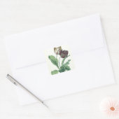 Garden Tulip, from 'Opera Botanica', filled by L スクエアシール (封筒)