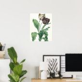 Garden Tulip, from 'Opera Botanica', filled by L ポスター (ホームオフィス)