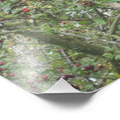 Garden Warbler and Blue Tit フォトプリント (角)