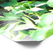 Garden Weeding Wisdom at Inniswood Park フォトプリント (角)