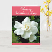 Gardeniaの挨拶状 カード (黄色い花)