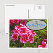 Gardeniaの郵便はがき ポストカード (正面/裏面)