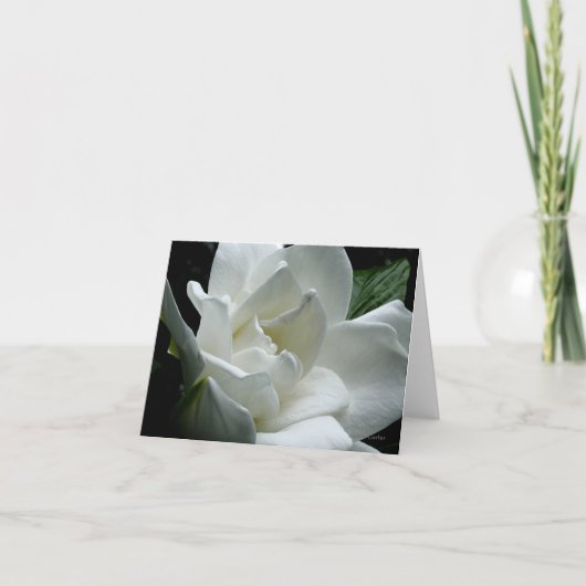 Gardenia カード (正面)