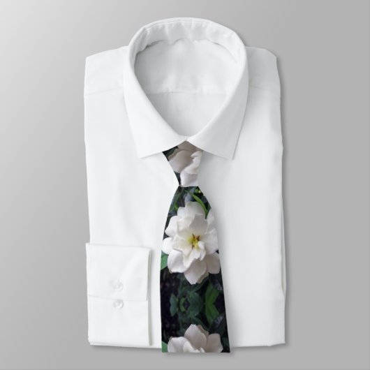 Gardenia ネクタイ (タイ)