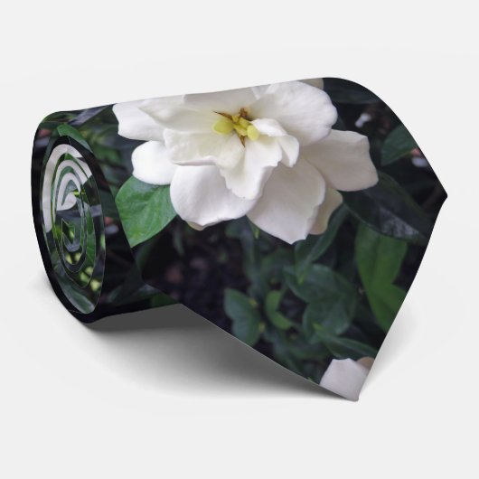 Gardenia ネクタイ (ロール)