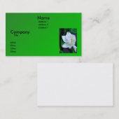 Gardenia 名刺 (正面/裏面)