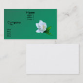 Gardenia 名刺 (正面/裏面)