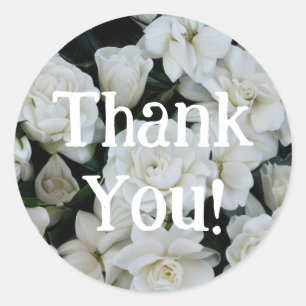 Gardenia Thank You ラウンドシール