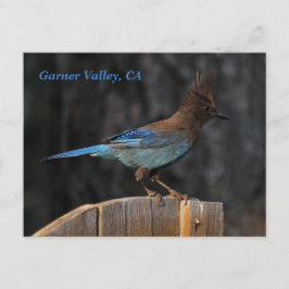 Garner Valley、CAポストカード ポストカード