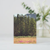 Garner Valley、CAポストカード ポストカード (スタンド正面)