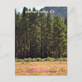 Garner Valley、CAポストカード ポストカード