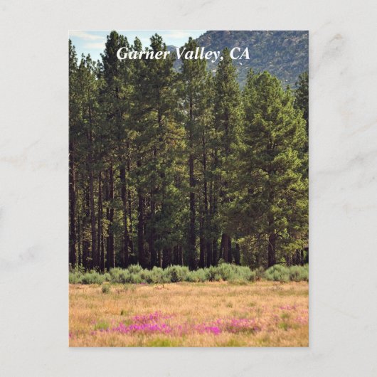 Garner Valley、CAポストカード ポストカード (正面)