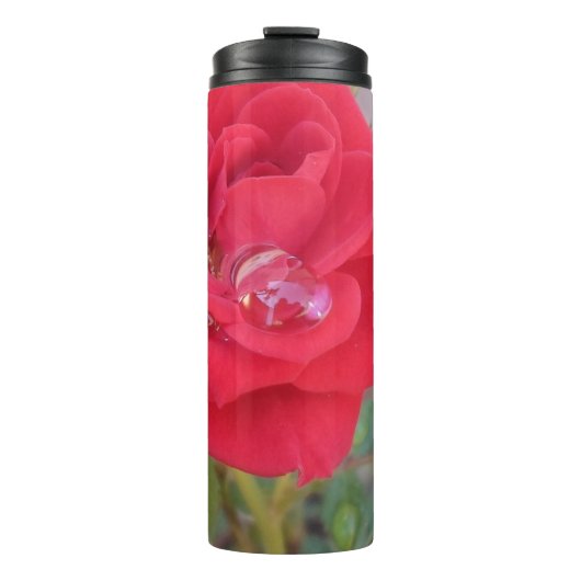 Garrafa Térmica Portátil タンブラー (正面)