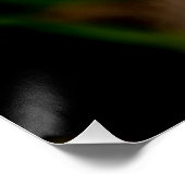 Garvinea Sweet Fiesta Gerber Daisy ポスター (コーナー)