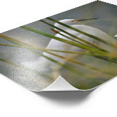 Garza blanca フォトプリント            (角)