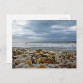 Gasparillaの島の海岸の貝殻 シーズンポストカード (正面/裏面)