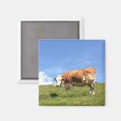 Gästehaus Fernerblick - Kuhmagnet マグネット (正面/裏面)