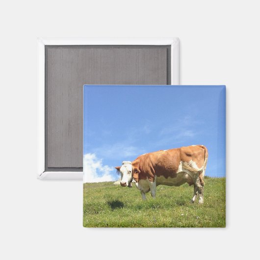 Gästehaus Fernerblick - Kuhmagnet マグネット (正面/裏面)