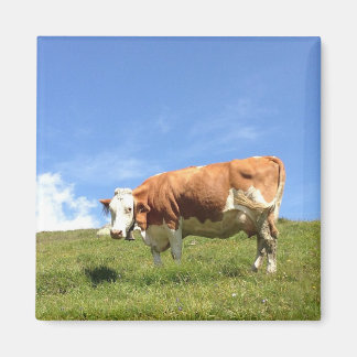 Gästehaus Fernerblick - Kuhmagnet マグネット