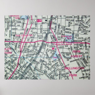 Gastonia, NC Vintage Map Poster ポスター
