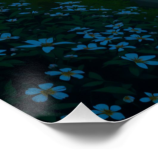 Gateway to the Untamed Coast ポスター (コーナー)