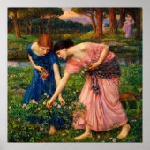 Gather Ye Rosebuds While Ye May by Waterhouse ポスター (正面)