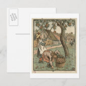 Gathering Apple, from 'Travaux des Champ', engra ポストカード (正面/裏面)