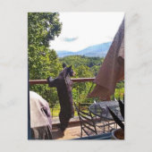 Gatlinburgポストカードで楽しむ黒熊 ポストカード (正面)