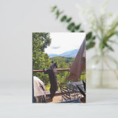 Gatlinburgポストカードで楽しむ黒熊 ポストカード (スタンド正面)