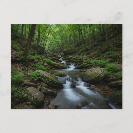 Gatlinburg , Tennessee Forest waterfall ポストカード (正面)