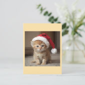 Gato fofo em noite de Natal. ポストカード (スタンド正面)