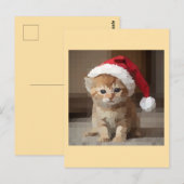 Gato fofo em noite de Natal. ポストカード (正面/裏面)