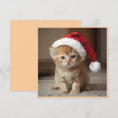 Gato fofo em noite de Natal. 招待状 (正面/裏面)