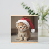 Gato fofo em noite de Natal. 招待状 (スタンド正面)