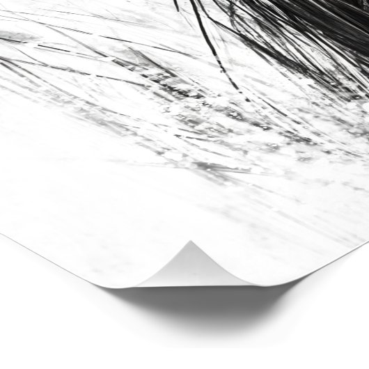 Gato Preto ポスター (コーナー)