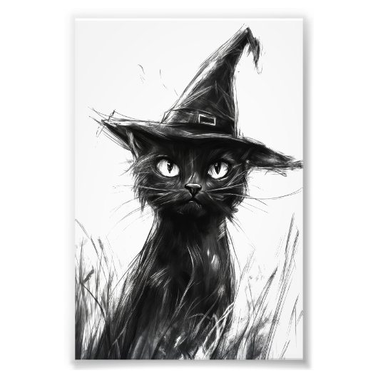 Gato Preto (Papel Fotográfico) フォトプリント (正面)