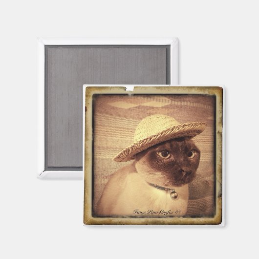 Gato/Tonkinese マグネット (正面/裏面)