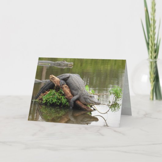 Gator 0076グリーティングカード カード (正面)