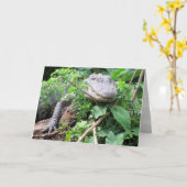 Gator 0111グリーティングカード カード (黄色い花)