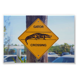 Gator Crossing Sign(フロリダ州) フォトプリント