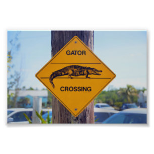 Gator Crossing Sign(フロリダ州) フォトプリント