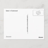 Gator - Green In Duckweed ポストカード (裏面)