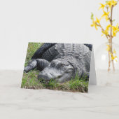 Gator Greeting Card カード (黄色い花)