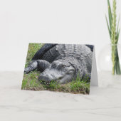Gator Greeting Card カード (正面)