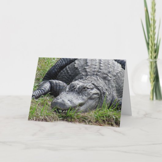 Gator Greeting Card カード (正面)