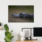 Gator Resting Poster -36x24 – その他のサイズが利用可能 ポスター (ホームオフィス)