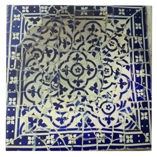 Gaudiの公園のGuellのモザイク・タイルバルセロナ タイル (正面)